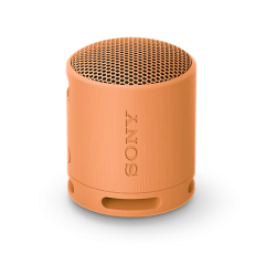 Sony SRSXB100D Orange XB100 Compact Bluetooth Speaker